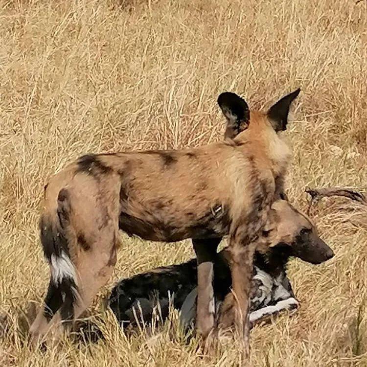 WhatsApp Image 2025-06-15 at 06.44.37 (3)